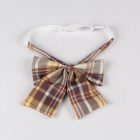 Szexi diáklány jelmez blúz, szoknya és masnis nyakkendő szett barna