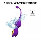 12 fokozatú dupla vibrációs tojás (Fekete)